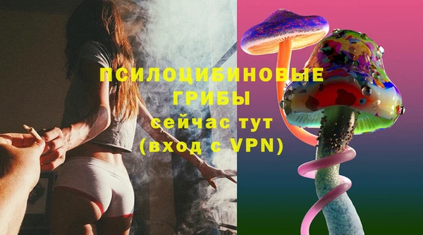 тгк Абдулино