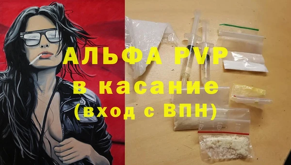 СК Абинск