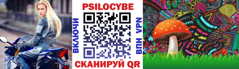 Галлюциногенные грибы Psilocybine cubensis  Звенигород 